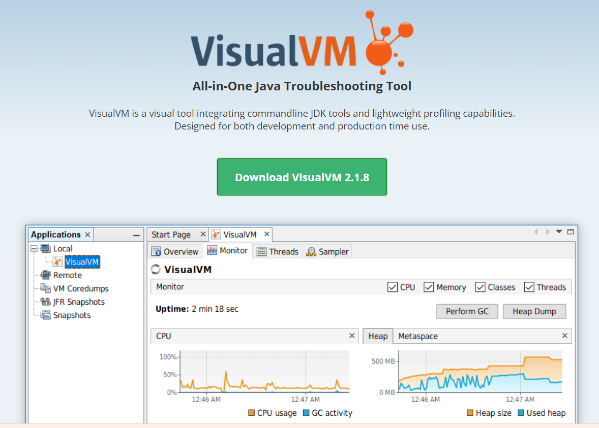 Visual VM